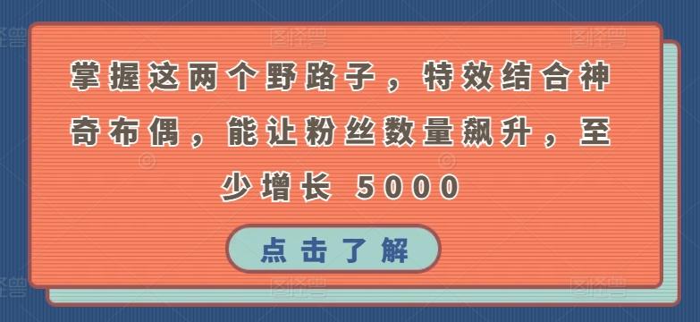 掌握这两个野路子，特效结合神奇布偶，能让粉丝数量飙升，至少增长 5000【揭秘】-森森项目库