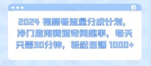 2024视频号流量分成计划,冷门监海赛道奇闻趣事,每天只需30分钟,轻松目赚 1000+【揭秘】-搞薯条网