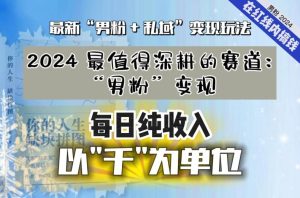 【私域流量最值钱】把“男粉”流量打到手，你便有无数种方法可以轻松变现，每日纯收入以“千”为单位-搞薯条网