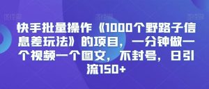 快手批量操作《1000个野路子信息差玩法》的项目，一分钟做一个视频一个图文，不封号，日引流150+【揭秘】-搞薯条网