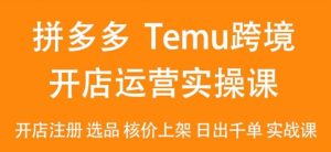 2024Temu最新玩法,Temu跨境开店运营实操课,开店注册/选品/核价上架/日出千单实战课-搞薯条网