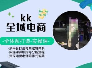 KK全域电商，全体系打造实操课，多平台打造电商逻辑体系-搞薯条网