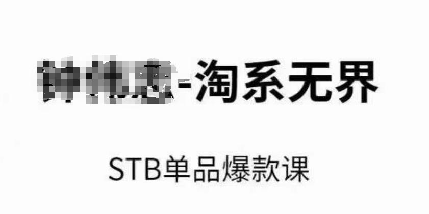淘系无界STB单品爆款课(2024)，付费带动免费的核心逻辑，万相台无界关键词推广/精准人群的核心 - 搞薯条网-搞薯条网