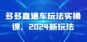 多多直通车玩法实操课,2024新玩法-搞薯条网