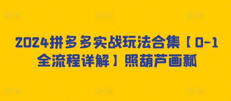 2024拼多多实战玩法合集【0-1全流程详解】照葫芦画瓢-森森项目库