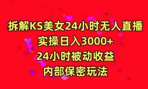 利用快手24小时无人美女直播,实操日入3000,24小时被动收益,内部保密玩法【揭秘】-搞薯条网