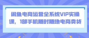 闲鱼电商运营全系统VIP实操课,1部手机随时随地电商卖货-搞薯条网
