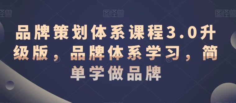 品牌策划体系课程3.0升级版，品牌体系学习，简单学做品牌 - 搞薯条网-搞薯条网