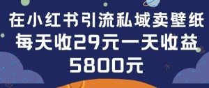 在小红书引流私域卖壁纸每张29元单日最高卖出200张(0-1搭建教程)【揭秘】-搞薯条网
