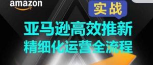 亚马逊高效推新精细化运营全流程,全方位、快速拉升产品排名和销量!-搞薯条网