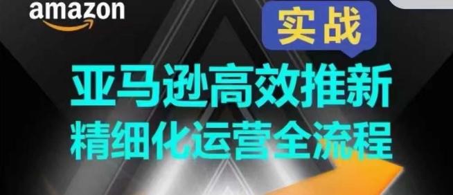 亚马逊高效推新精细化运营全流程，全方位、快速拉升产品排名和销量!-森森项目库