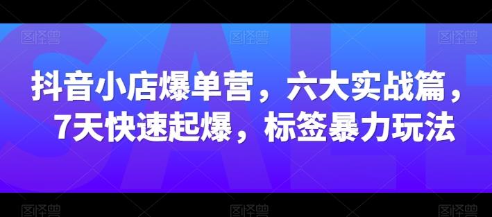 抖音小店爆单营，六大实战篇，7天快速起爆，标签暴力玩法 - 搞薯条网-搞薯条网