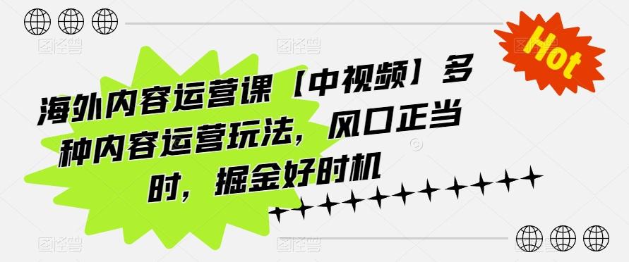 海外内容运营课【中视频】多种内容运营玩法，风口正当时，掘金好时机-森森项目库