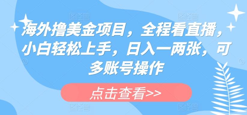 海外撸美金项目，全程看直播，小白轻松上手，日入一两张，可多账号操作【揭秘】 - 搞薯条网-搞薯条网