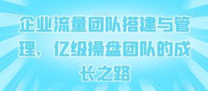 企业流量团队搭建与管理,亿级操盘团队的成长之路-搞薯条网