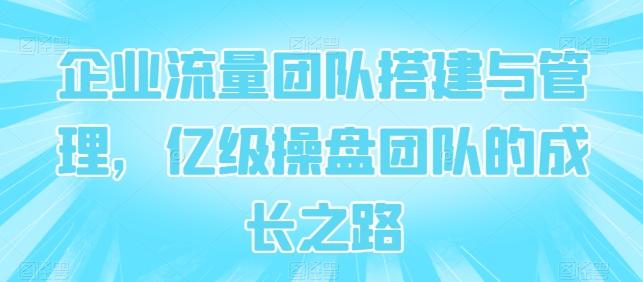 企业流量团队搭建与管理，亿级操盘团队的成长之路-森森项目库