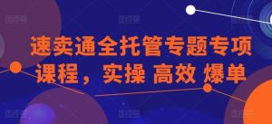 速卖通全托管专题专项课程，实操 高效 爆单-搞薯条网
