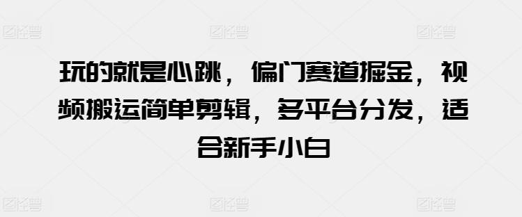 玩的就是心跳，偏门赛道掘金，视频搬运简单剪辑，多平台分发，适合新手小白【揭秘】 - 搞薯条网-搞薯条网