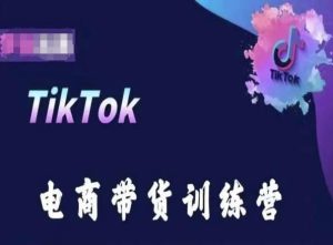 TikTok电商带货训练营，跟随时代潮流，跨境掘金-搞薯条网