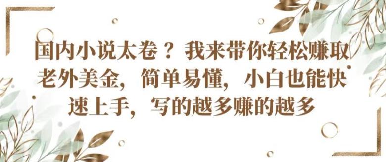 国内小说太卷 ?带你轻松赚取老外美金，简单易懂，小白也能快速上手，写的越多赚的越多【揭秘】 - 搞薯条网-搞薯条网