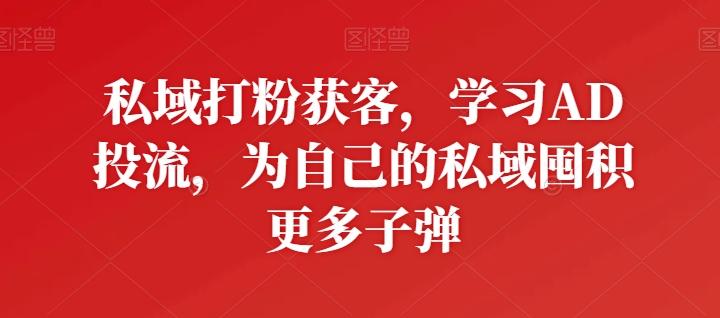 私域打粉获客，学习AD投流，为自己的私域囤积更多子弹 - 搞薯条网-搞薯条网