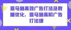 亚马逊高效广告打法及数据优化,亚马逊高阶广告打法课-搞薯条网