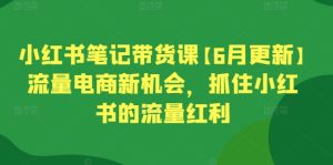 小红书笔记带货课【6月更新】流量电商新机会，抓住小红书的流量红利-搞薯条网