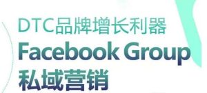 DTC品牌增长利器:Facebook Group私域营销策略-搞薯条网