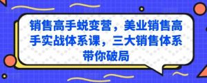 销售高手蜕变营，美业销售高手实战体系课，三大销售体系带你破局-搞薯条网