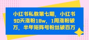 小红书私教第七期，小红书90天涨粉18w，1周涨粉破万，半年矩阵号粉丝破百万-搞薯条网