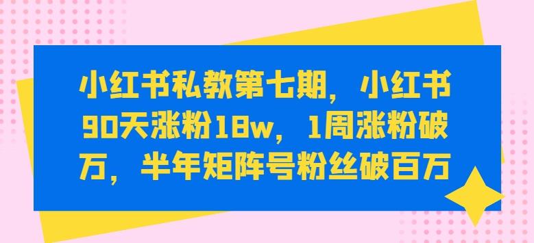 小红书私教第七期，小红书90天涨粉18w，1周涨粉破万，半年矩阵号粉丝破百万 - 搞薯条网-搞薯条网