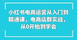 小红书电商运营从入门到精通课,电商店群实战,从0开始到学会-搞薯条网
