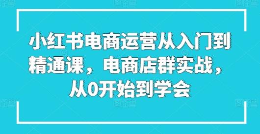 小红书电商运营从入门到精通课，电商店群实战，从0开始到学会-森森项目库