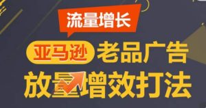亚马逊流量增长-老品广告放量增效打法,循序渐进,打造更多TOP listing-搞薯条网