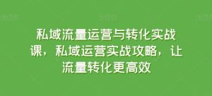 私域流量运营与转化实战课，私域运营实战攻略，让流量转化更高效-搞薯条网