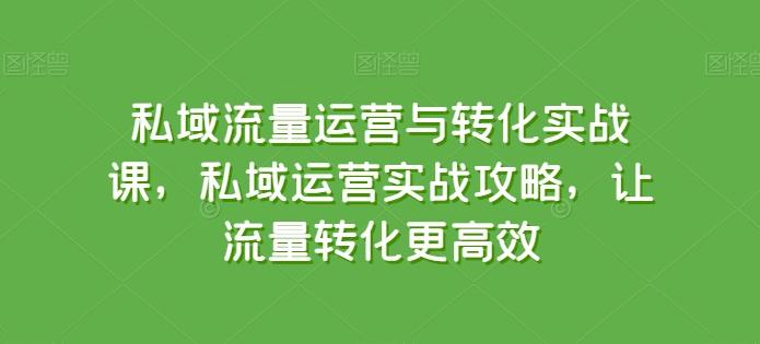 私域流量运营与转化实战课，私域运营实战攻略，让流量转化更高效-森森项目库