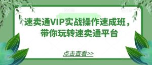 速卖通VIP实战操作速成班,带你玩转速卖通平台-搞薯条网