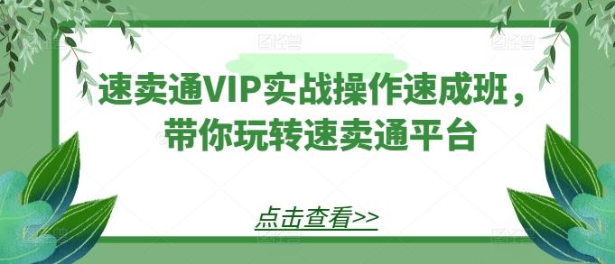 速卖通VIP实战操作速成班，带你玩转速卖通平台 - 搞薯条网-搞薯条网