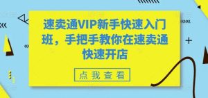 速卖通VIP新手快速入门班，手把手教你在速卖通快速开店-搞薯条网