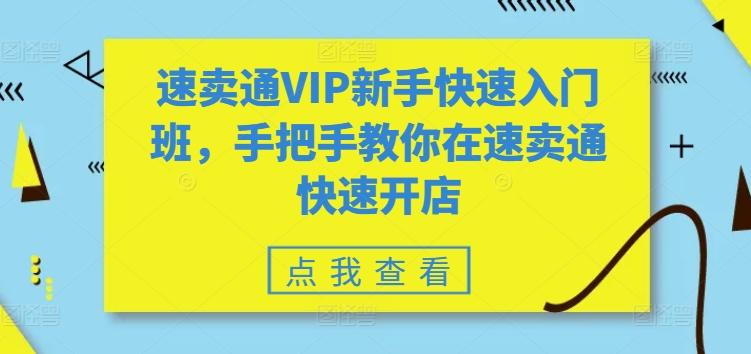 速卖通VIP新手快速入门班，手把手教你在速卖通快速开店 - 搞薯条网-搞薯条网