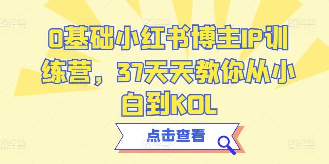 0基础小红书博主IP训练营，37天天教你从小白到KOL - 搞薯条网-搞薯条网