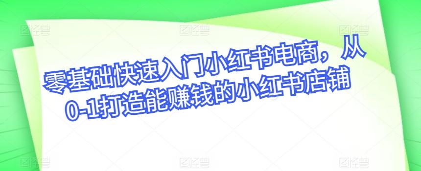 零基础快速入门小红书电商，从0-1打造能赚钱的小红书店铺 - 搞薯条网-搞薯条网