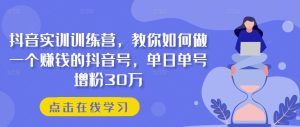 抖音实训训练营，教你如何做一个赚钱的抖音号，单日单号增粉30万-搞薯条网