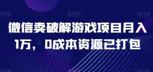 微信卖破解游戏项目月入1万,0成本资源已打包【揭秘】-搞薯条网