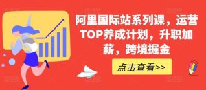 阿里国际站系列课,运营TOP养成计划,升职加薪,跨境掘金-搞薯条网