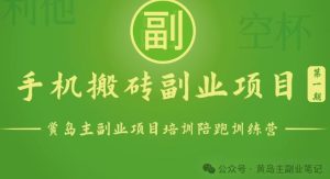 手机搬砖小副业项目训练营1.0,实测1小时收益50+,一部手机轻松日入100+-搞薯条网