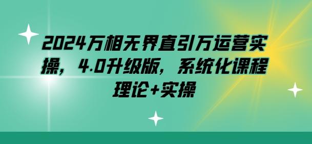2024万相无界直引万运营实操，4.0升级版，系统化课程 理论+实操 - 搞薯条网-搞薯条网