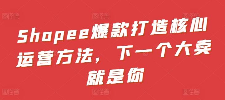 Shopee爆款打造核心运营方法，下一个大卖就是你 - 搞薯条网-搞薯条网