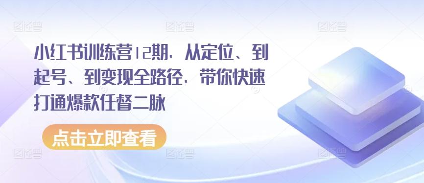 小红书训练营12期，从定位、到起号、到变现全路径，带你快速打通爆款任督二脉 - 搞薯条网-搞薯条网