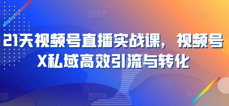 21天视频号直播实战课，视频号X私域高效引流与转化 - 搞薯条网-搞薯条网